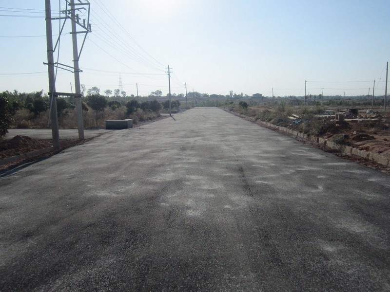 Images for Main Other of Tekton Delonix City