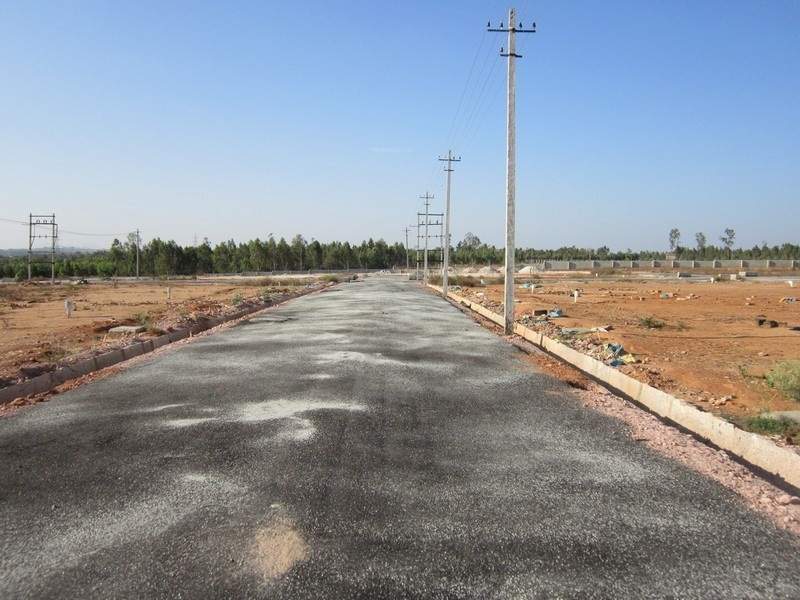 Images for Main Other of Tekton Delonix City