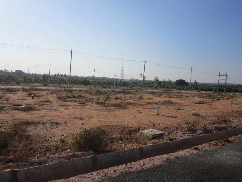 Images for Main Other of Tekton Delonix City