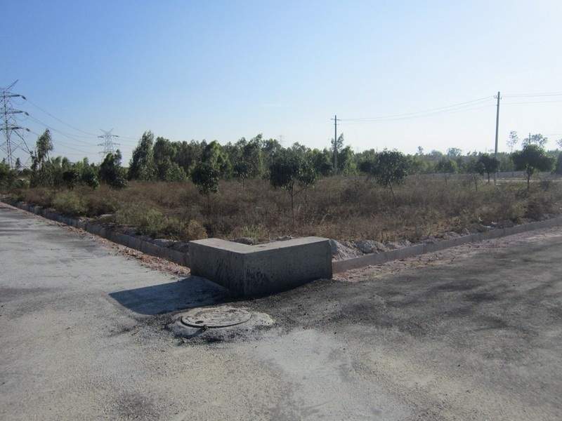 Images for Main Other of Tekton Delonix City