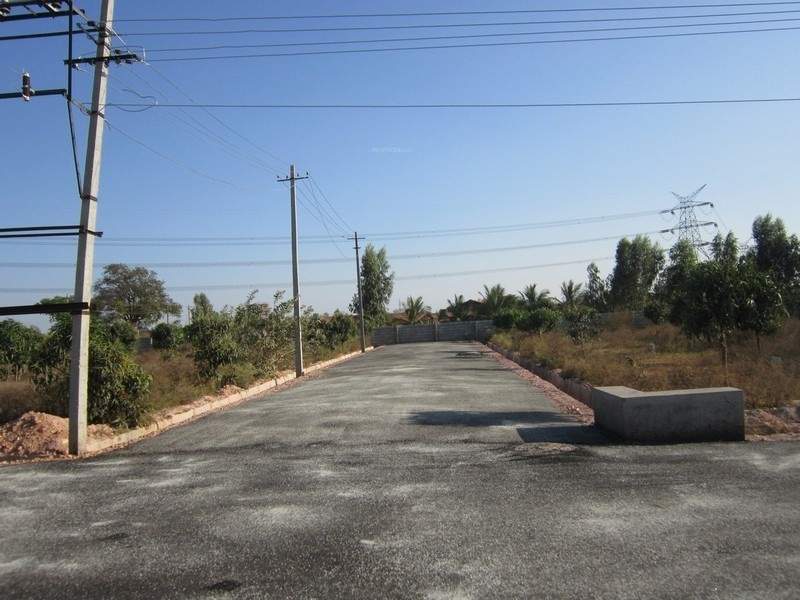 Images for Main Other of Tekton Delonix City