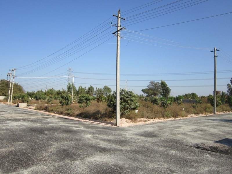 Images for Main Other of Tekton Delonix City