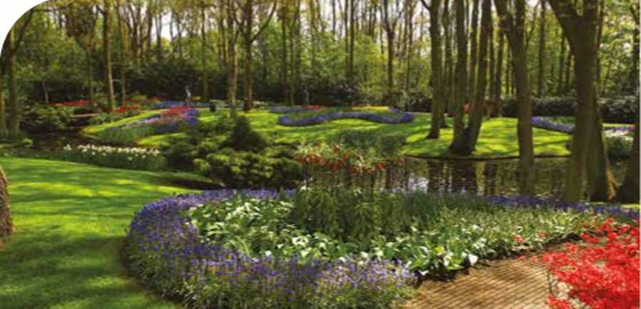  urbana aqua Images for Amenities of Ozone Urbana Aqua