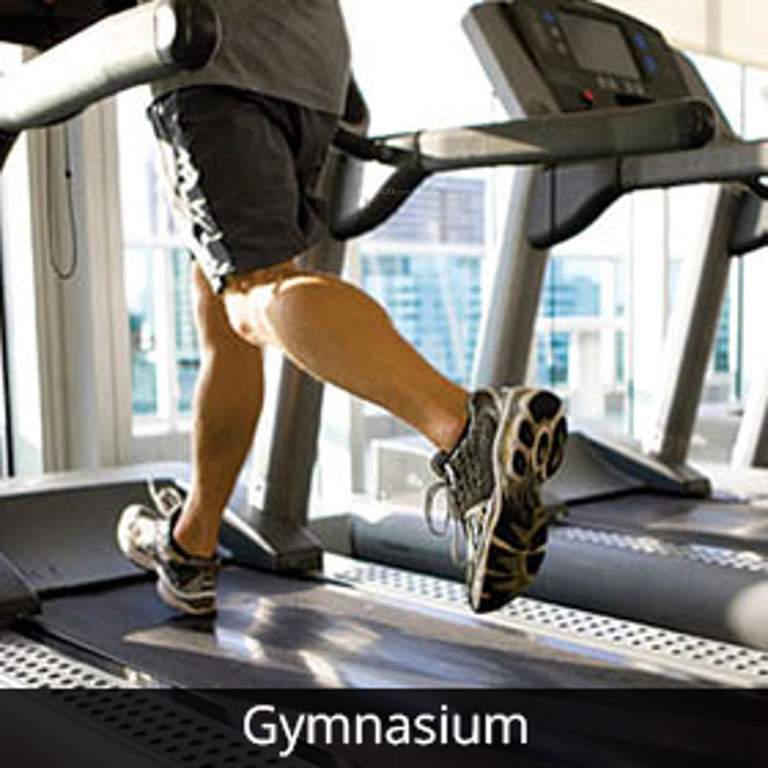  atrium Images for Amenities of Urban Tree Atrium