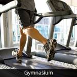 Images for Amenities of Urban Tree Atrium  atrium Images for Amenities of Urban Tree Atrium