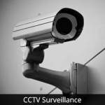 Images for Amenities of Urban Tree Atrium  atrium Images for Amenities of Urban Tree Atrium