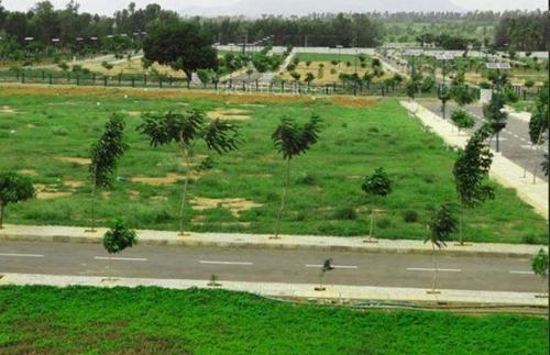 Images for Main Other of Ozone Group Urbana Meadows urbana-meadows Images for Main Other of Ozone Group Urbana Meadows