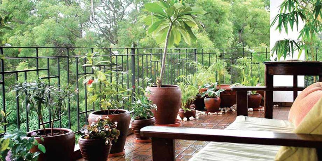 Images for Main Other of Century Indus