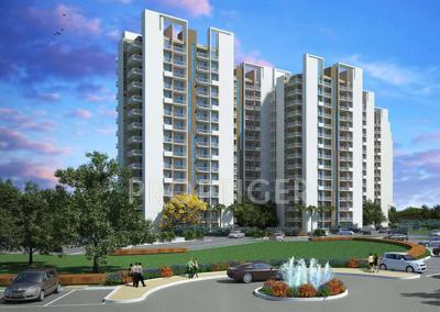  regal-court Images for Elevation of Avalon Regal Court