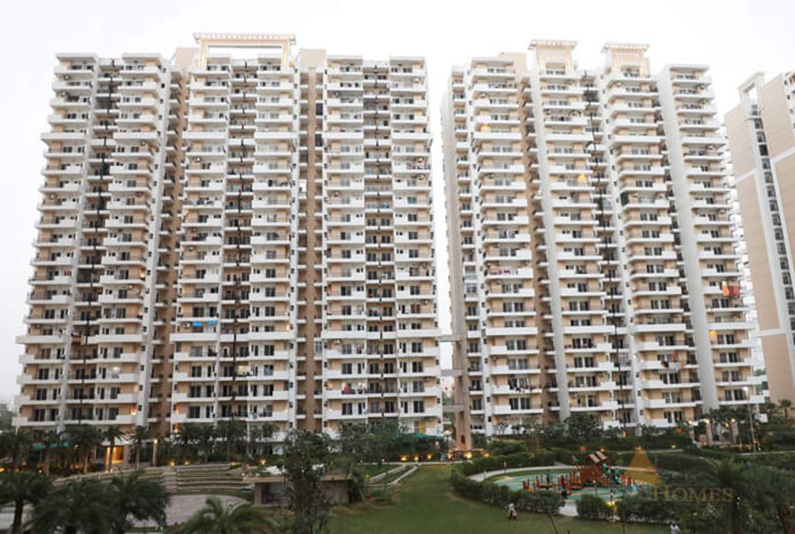 city Images for Elevation of Ace City