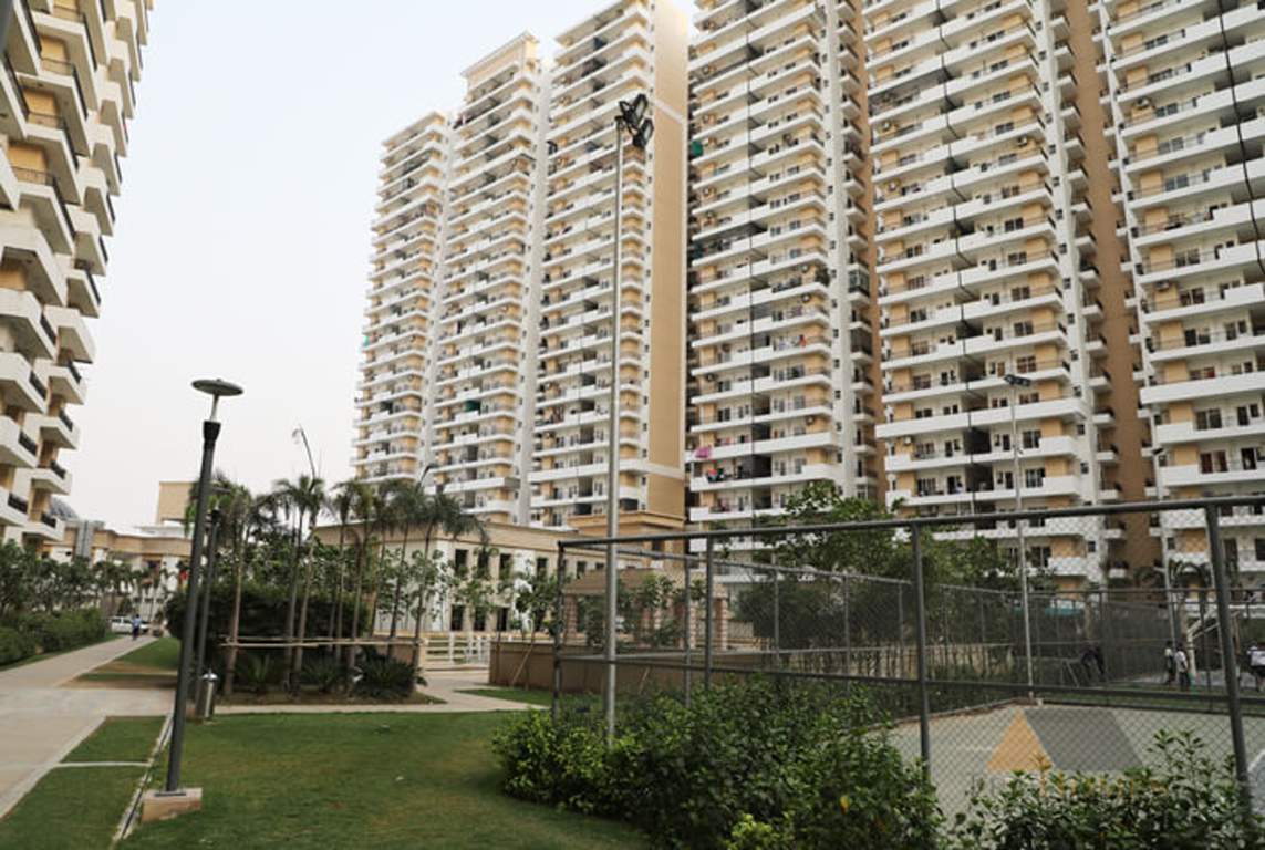 city Images for Elevation of Ace City