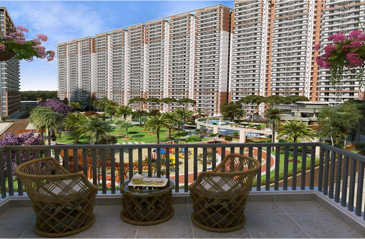 city Images for Elevation of Ace City