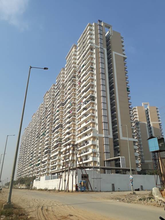 city Images for Project