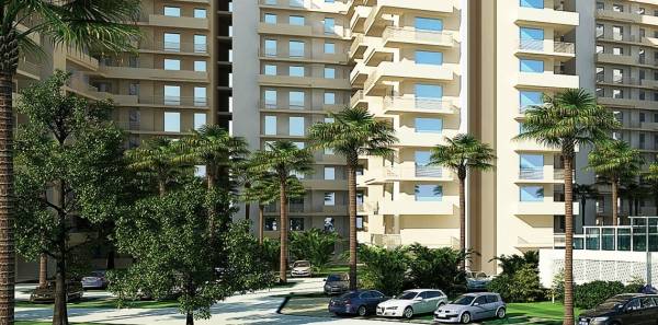 Paved Compound royal-park Paved Compound