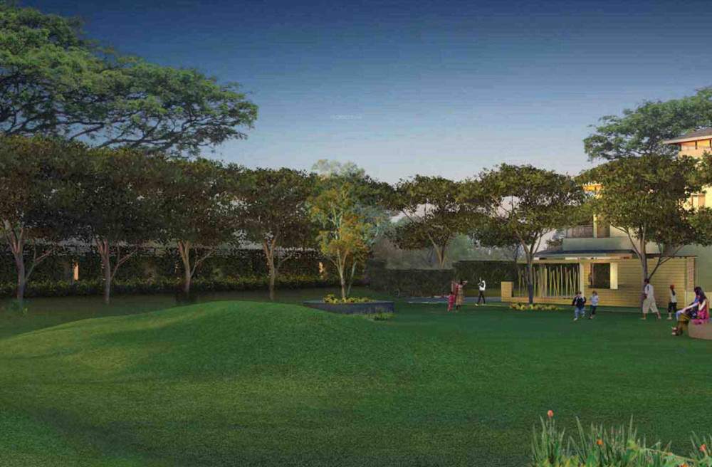  breathe Landscape Garden and Tree Planting