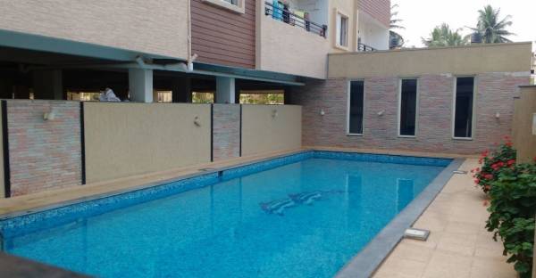 Swimming Pool dsmax-solitaire Swimming Pool