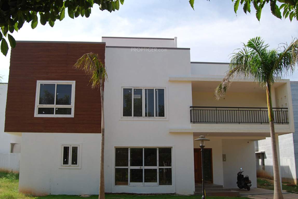 orchid Images for Elevation of Vajram Orchid