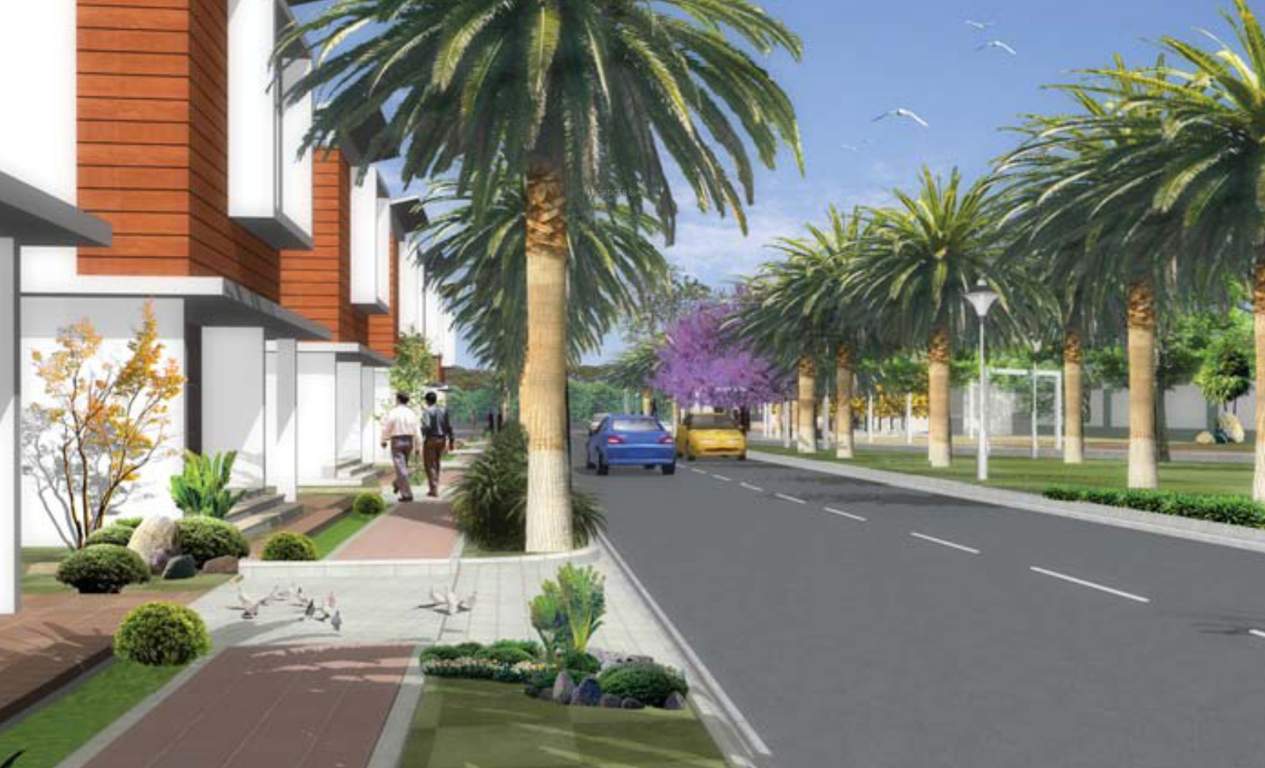 orchid Images for Elevation of Vajram Orchid