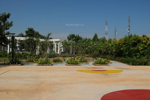 Images for Main Other of Vajram Orchid orchid Images for Main Other of Vajram Orchid