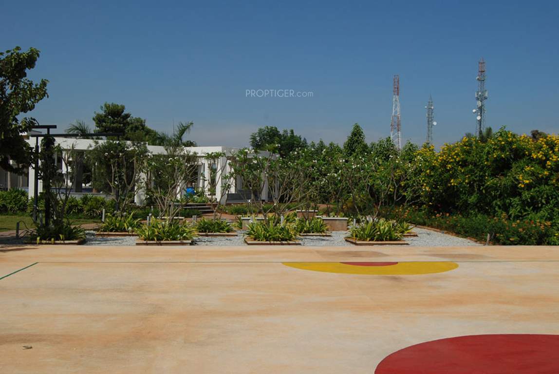 orchid Images for Main Other of Vajram Orchid