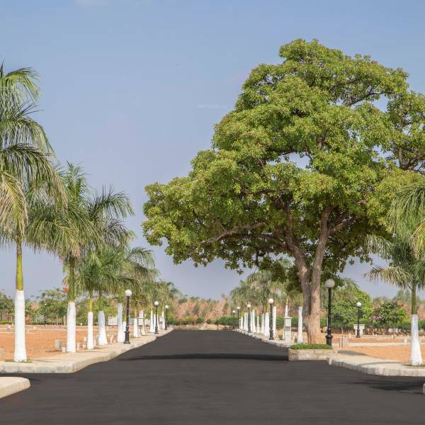 Images for Main Other of Shriram Malhaar