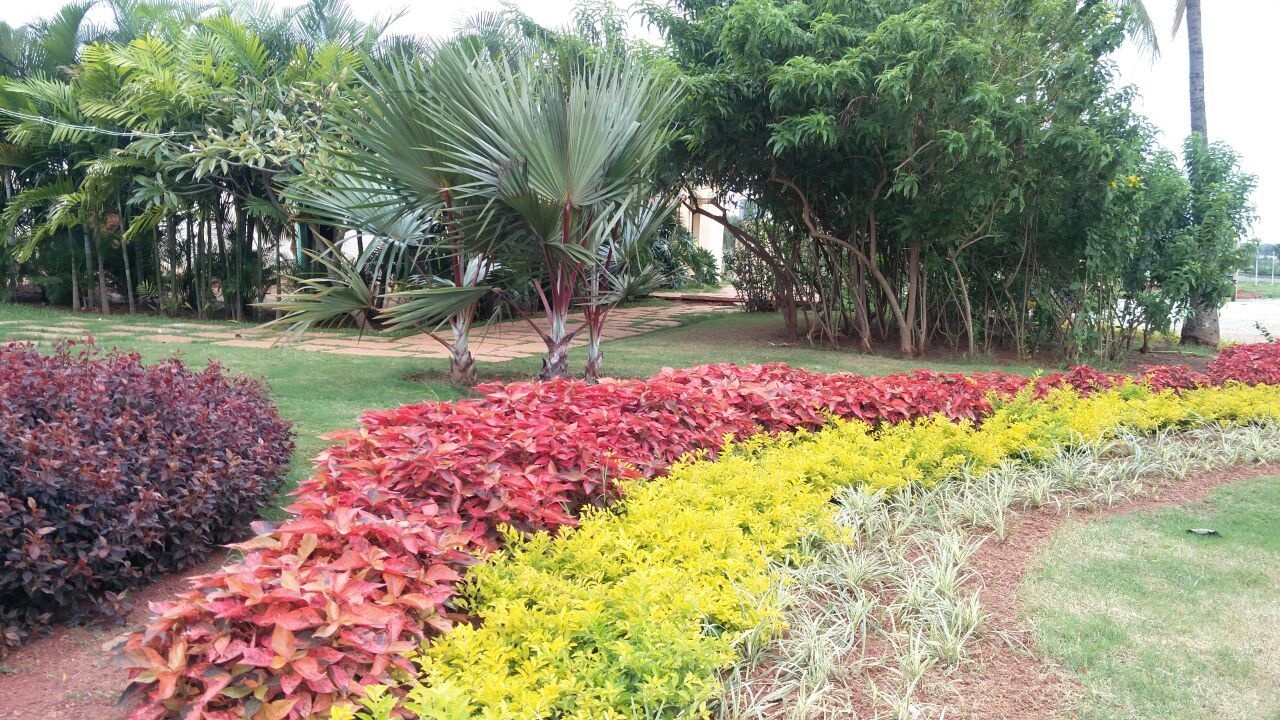 Images for Main Other of Shriram Godhuli