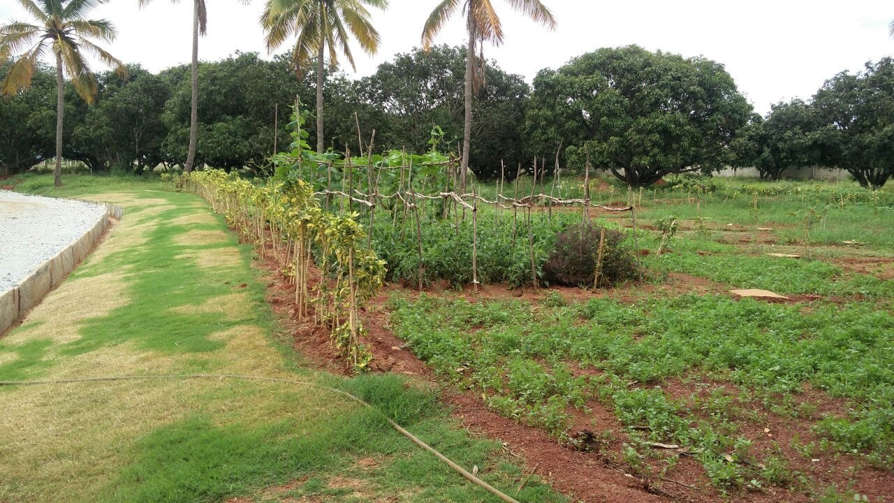 Images for Main Other of Shriram Godhuli