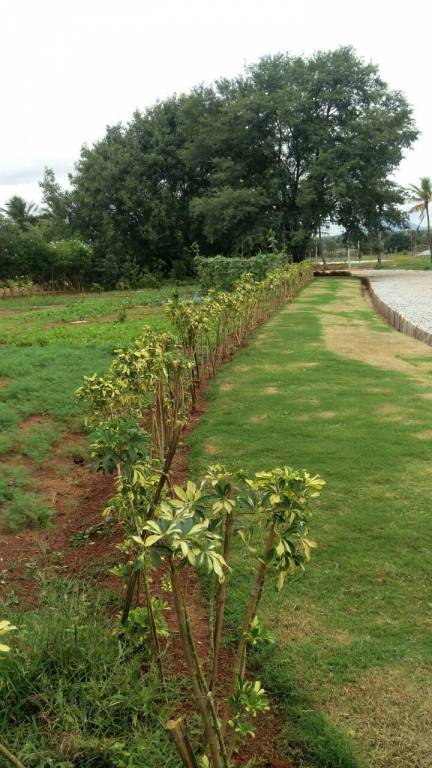 Images for Main Other of Shriram Godhuli