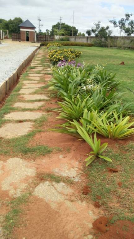 Images for Main Other of Shriram Godhuli