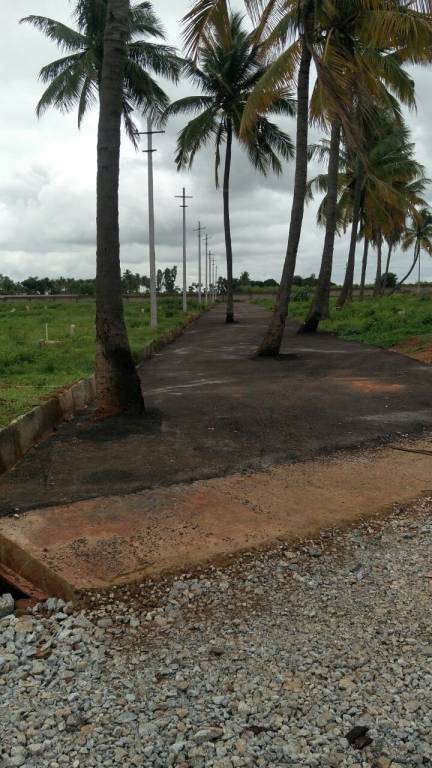 Images for Main Other of Shriram Godhuli