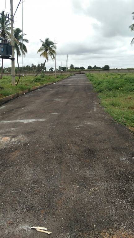 Images for Main Other of Shriram Godhuli