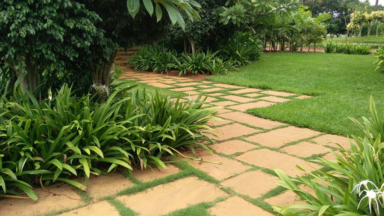 Images for Main Other of Shriram Godhuli