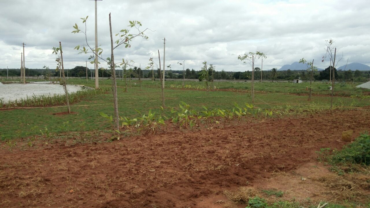 Images for Main Other of Shriram Godhuli