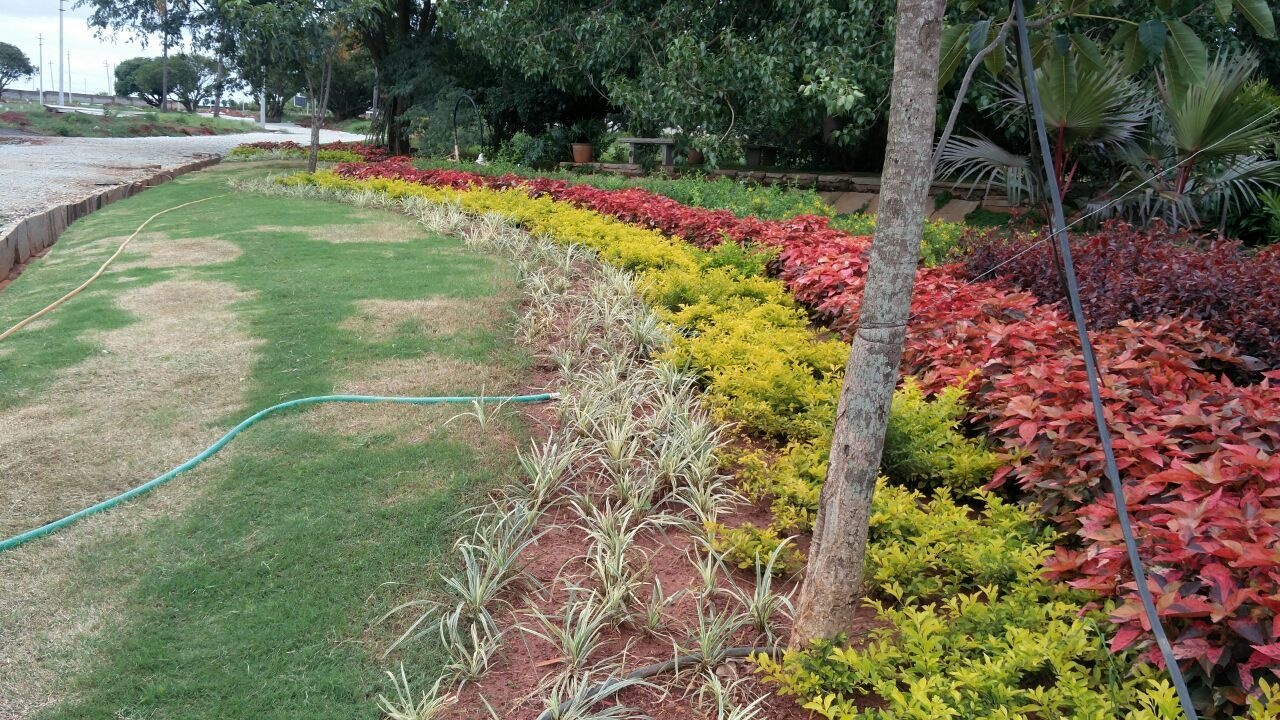 Images for Main Other of Shriram Godhuli