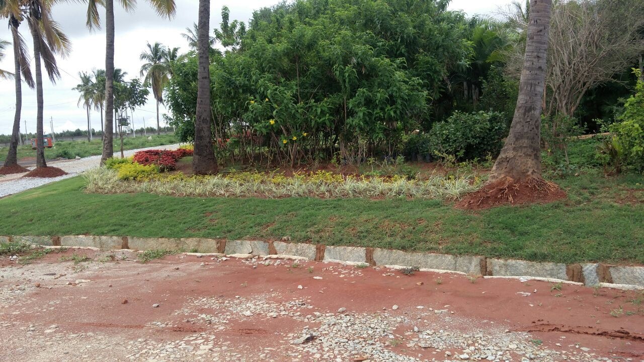 Images for Main Other of Shriram Godhuli