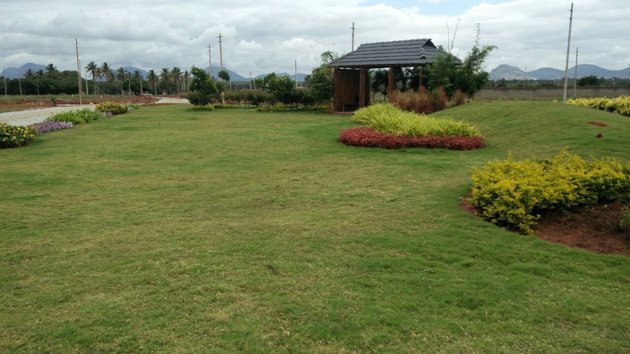 Images for Main Other of Shriram Godhuli