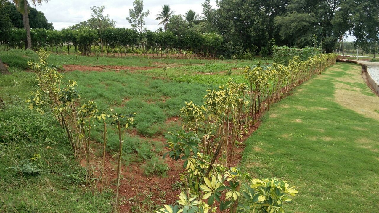 Images for Main Other of Shriram Godhuli