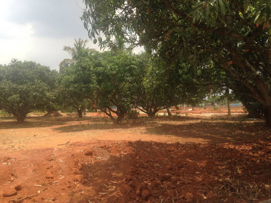 Images for Main Other of Shriram Godhuli