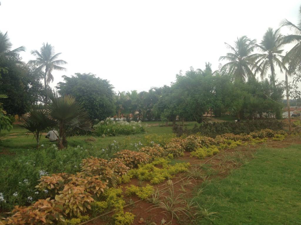 Images for Main Other of Shriram Godhuli