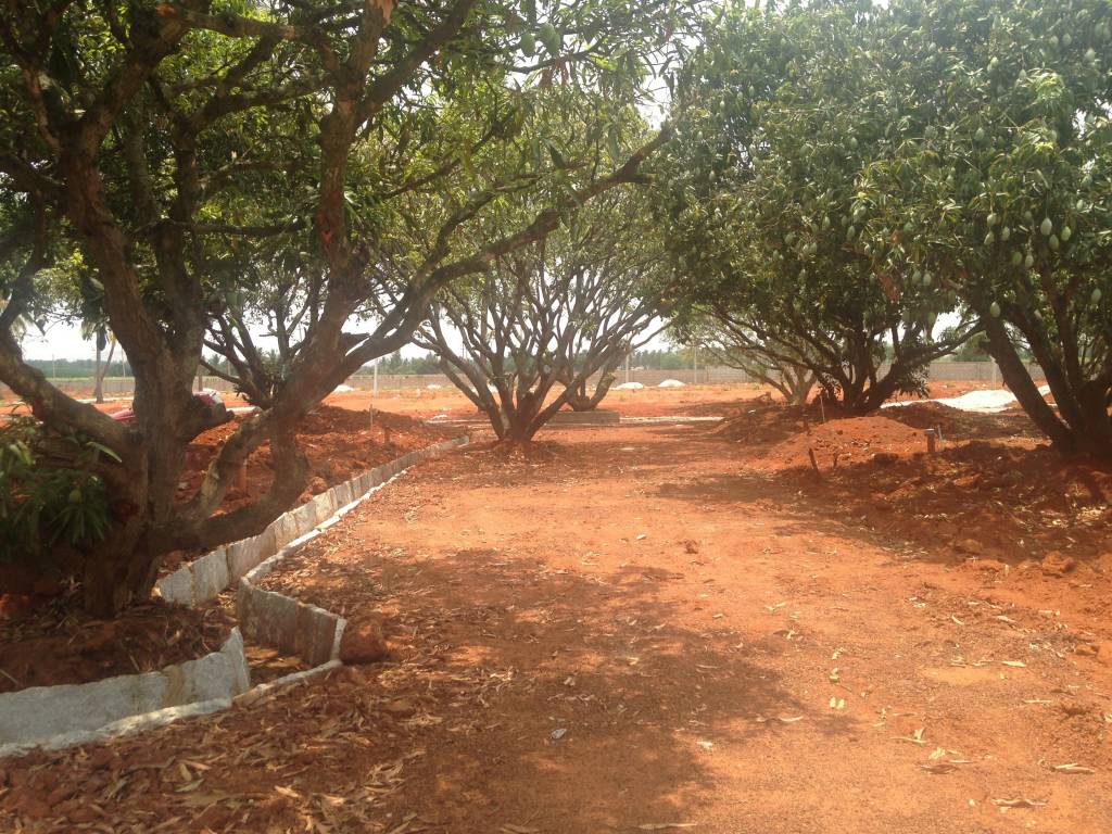 Images for Main Other of Shriram Godhuli