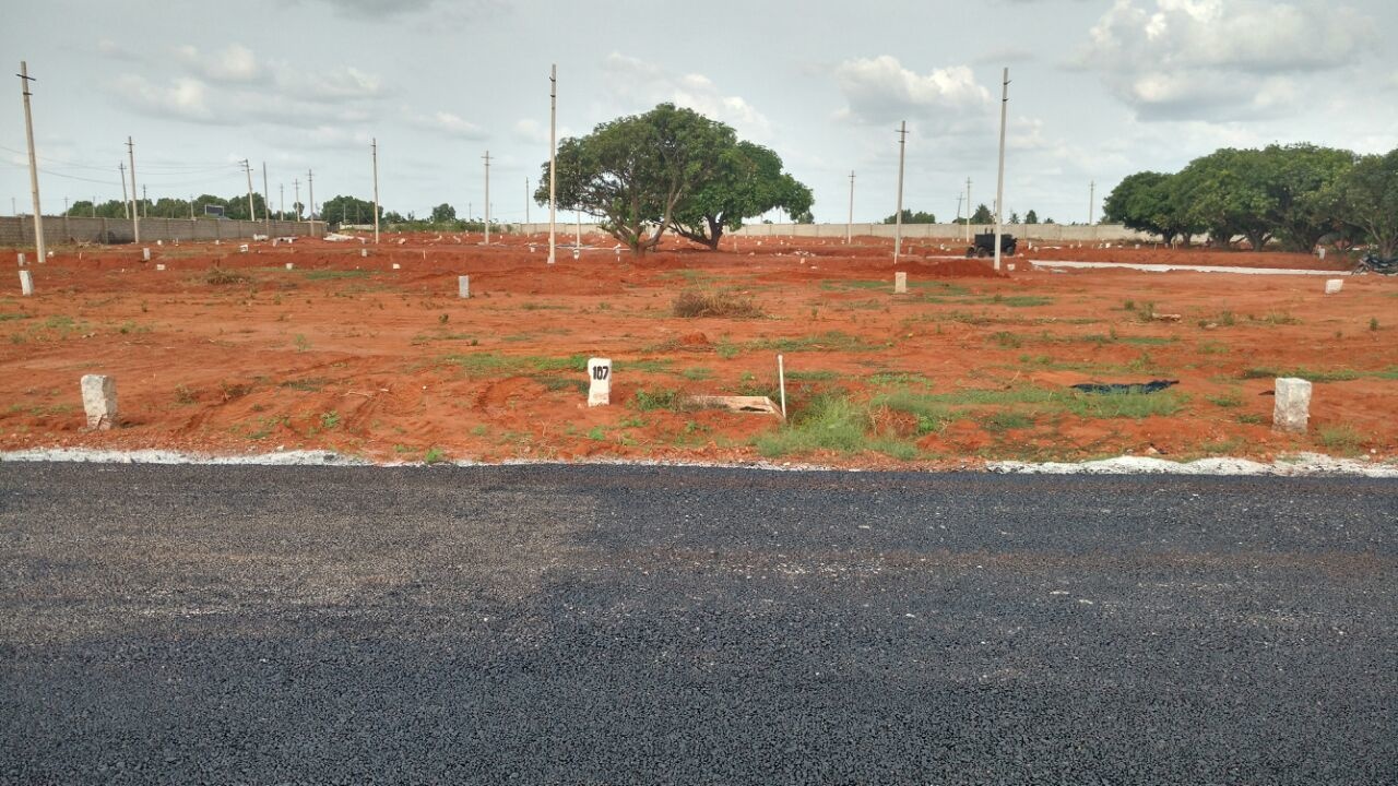 Images for Main Other of Shriram Godhuli