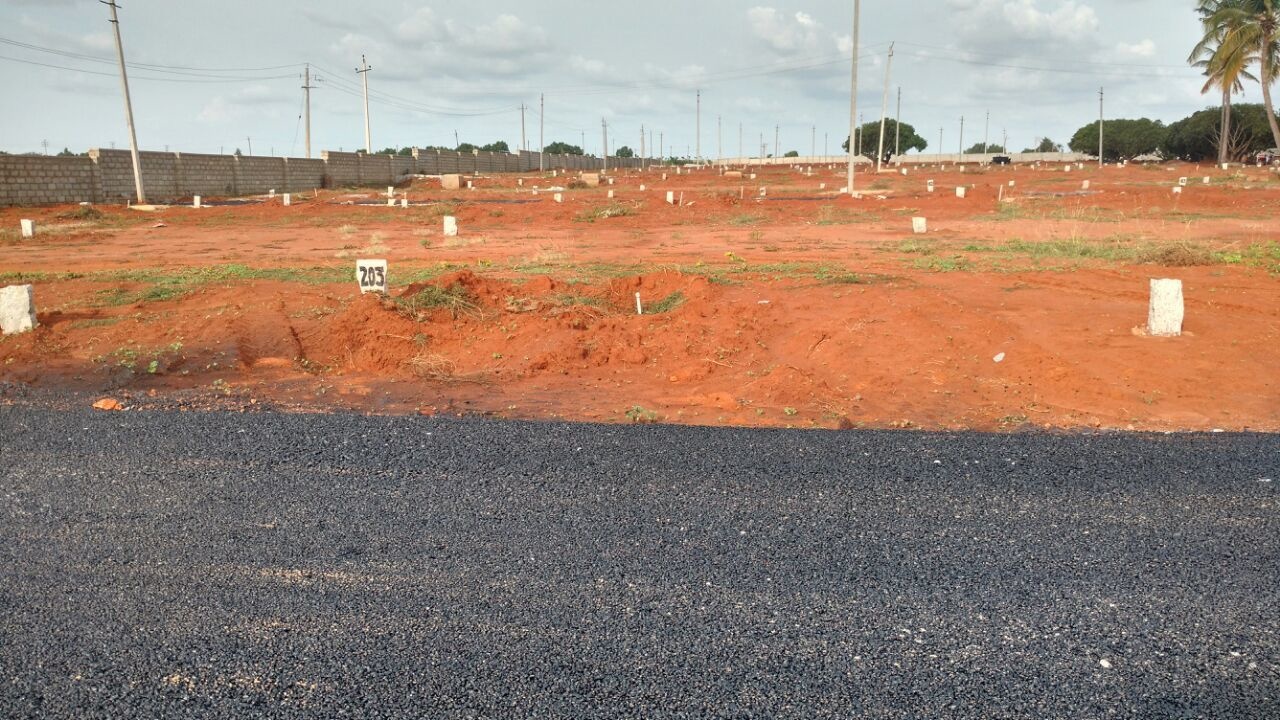 Images for Main Other of Shriram Godhuli