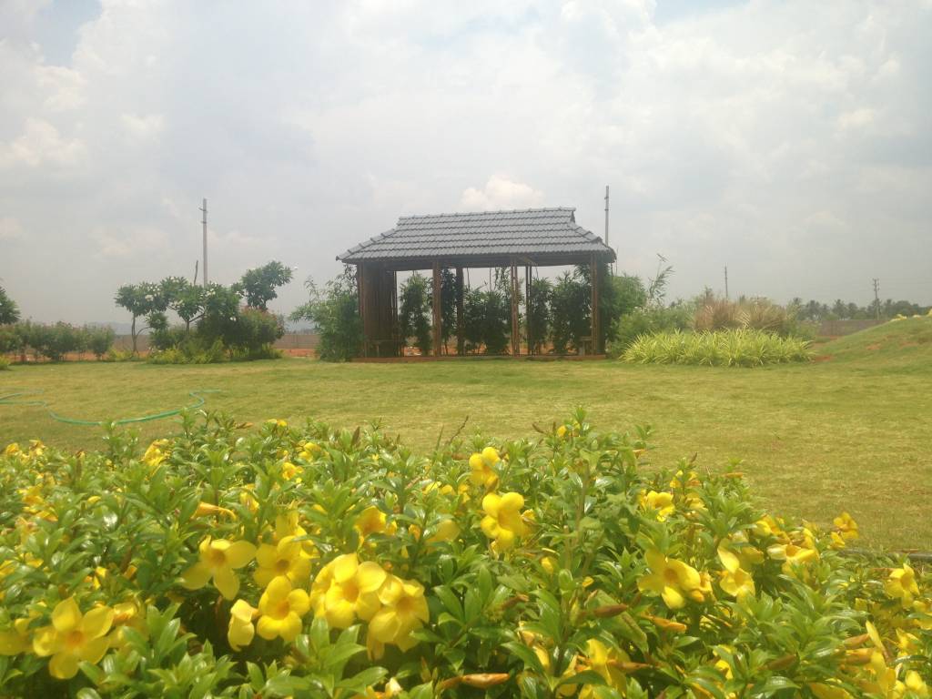 Images for Main Other of Shriram Godhuli