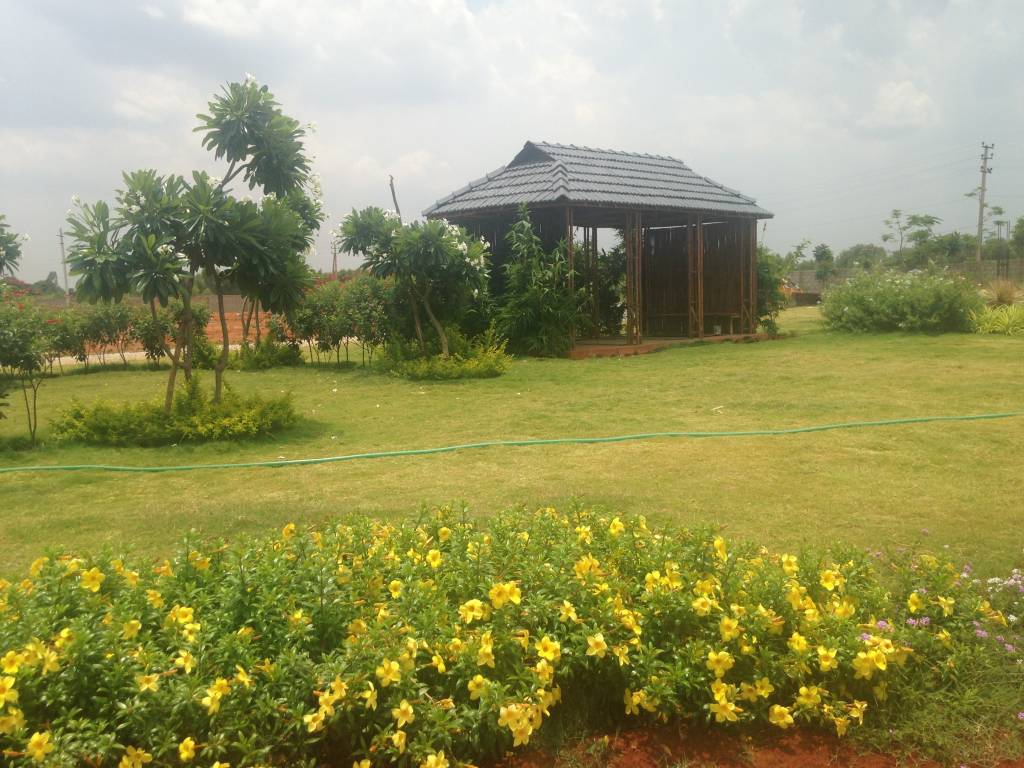 Images for Main Other of Shriram Godhuli