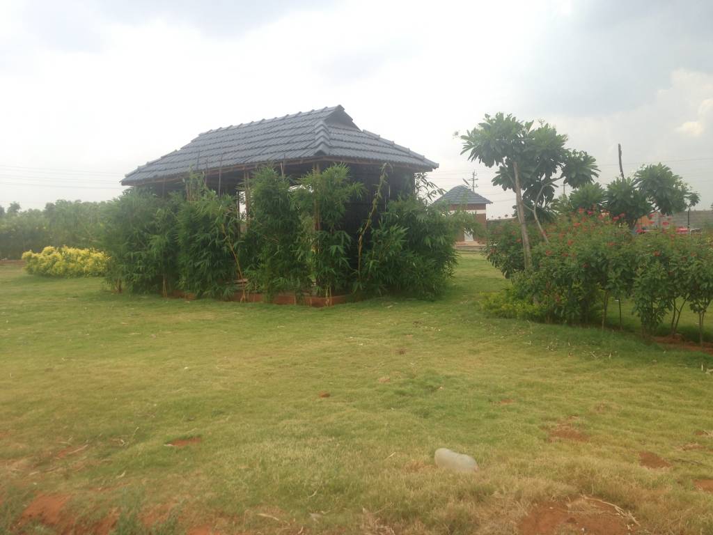 Images for Main Other of Shriram Godhuli