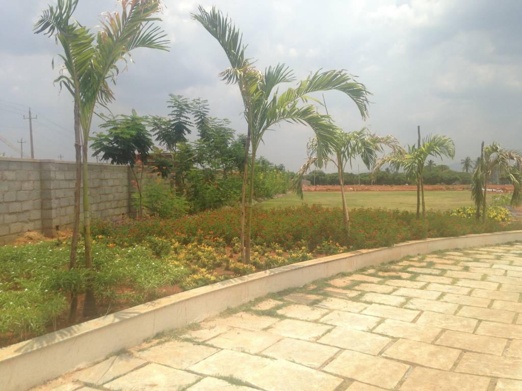 Images for Main Other of Shriram Godhuli