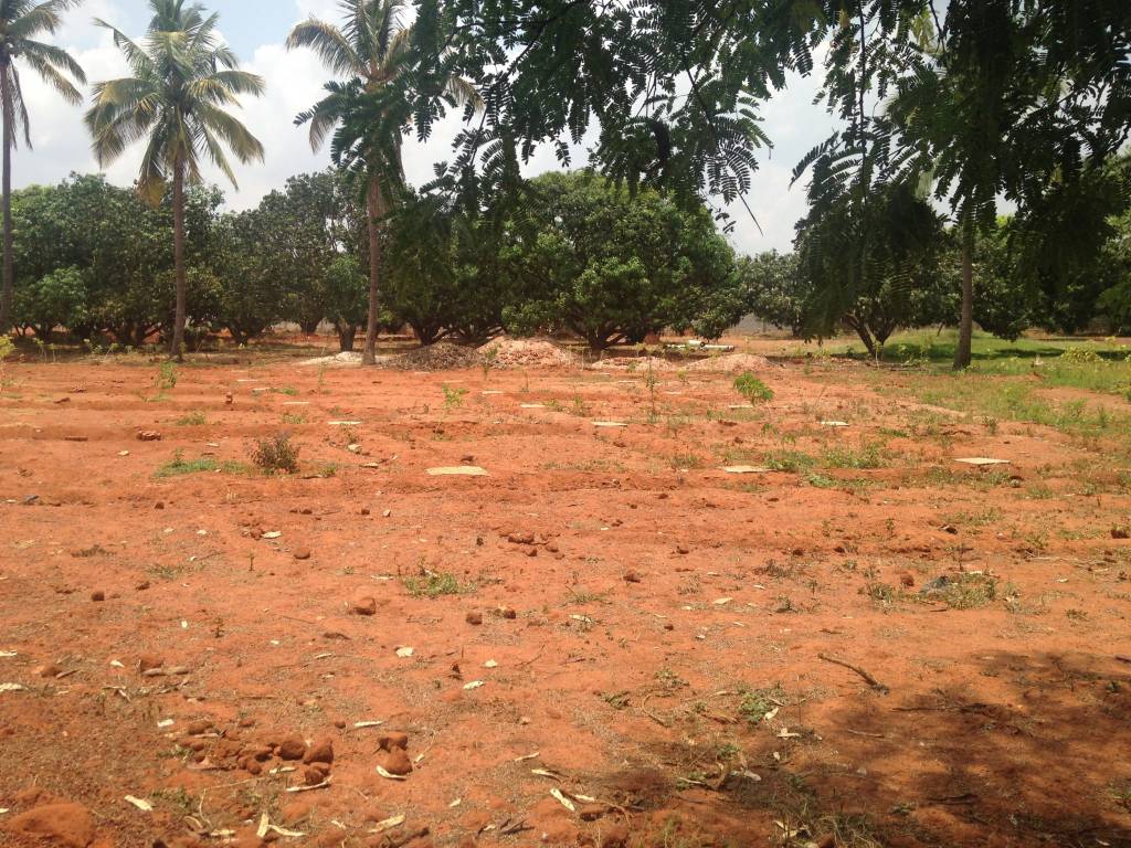 Images for Main Other of Shriram Godhuli