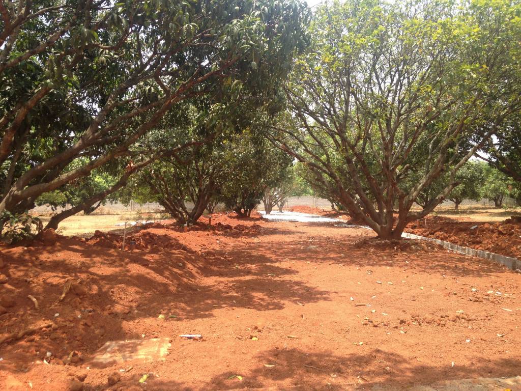 Images for Main Other of Shriram Godhuli