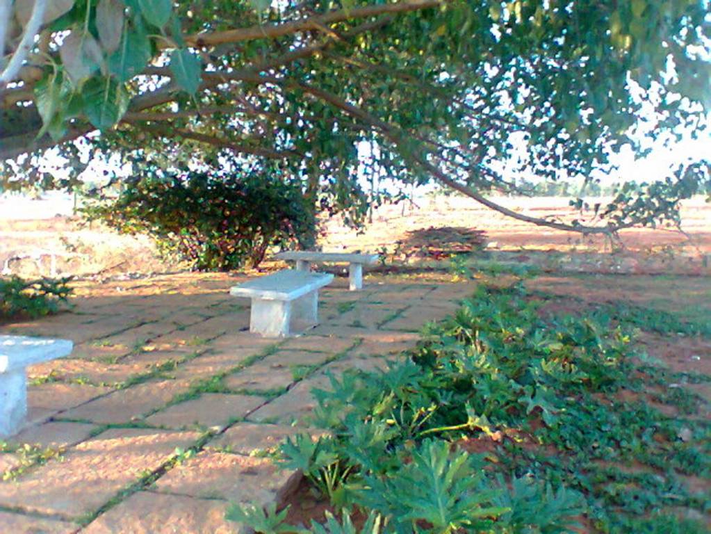 Images for Main Other of Shriram Godhuli