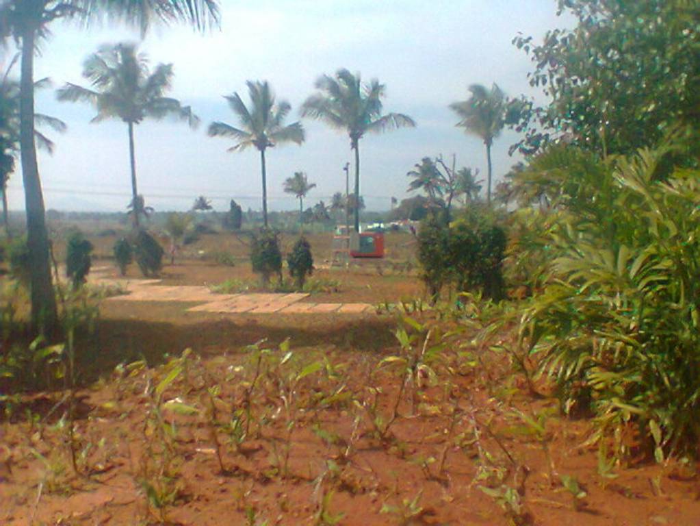 Images for Main Other of Shriram Godhuli